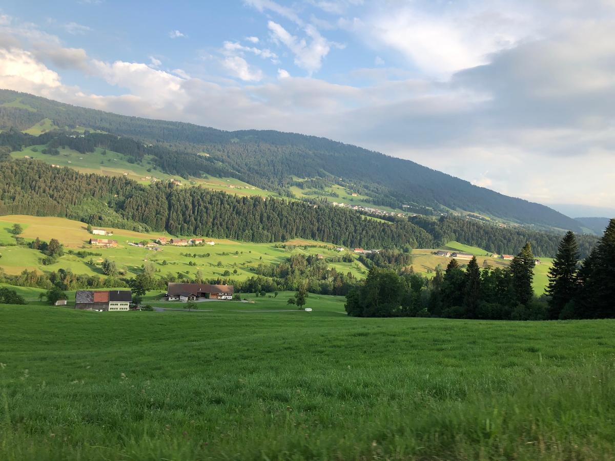 Allgau Landhotel Oberreute Bagian luar foto