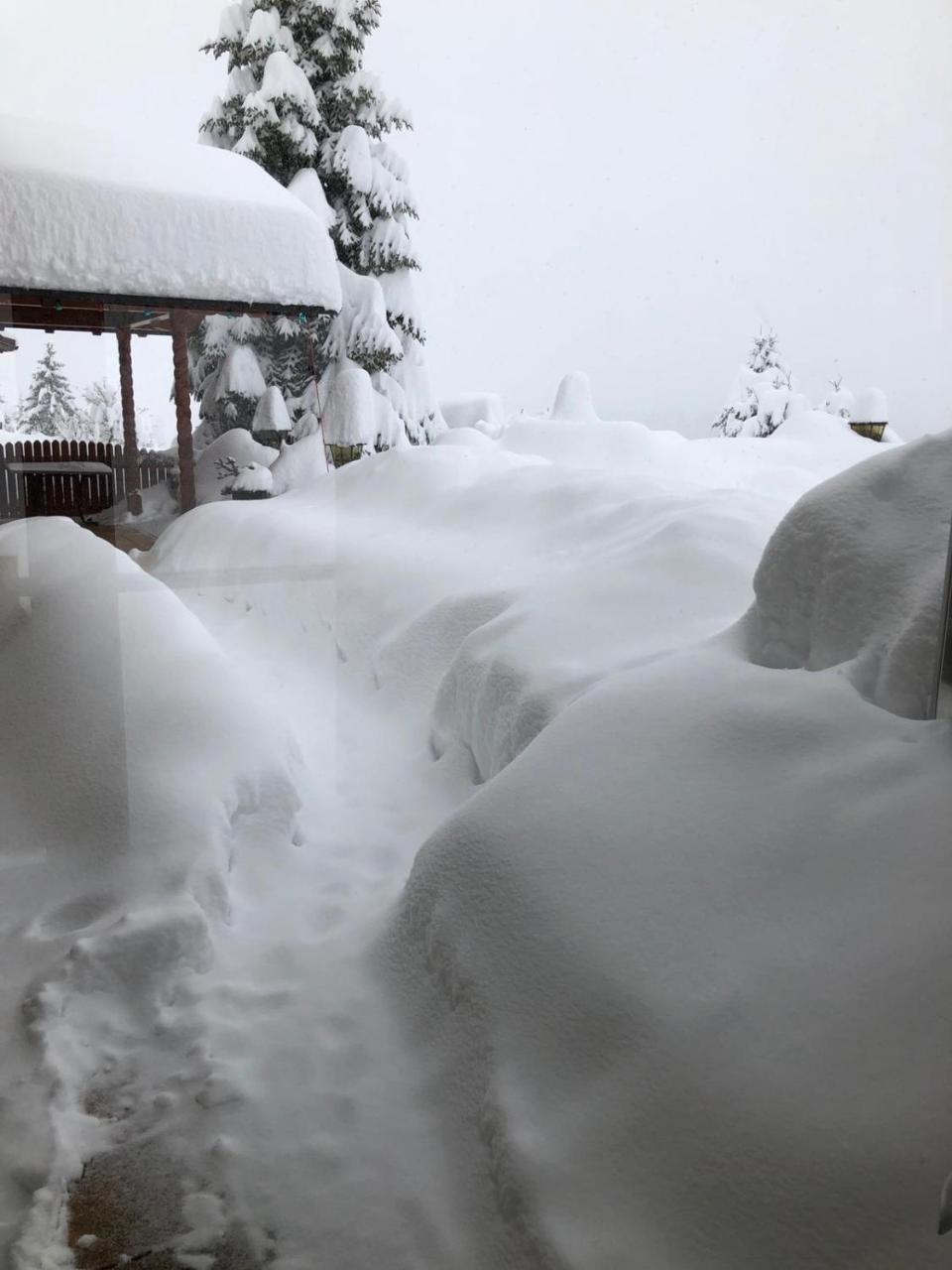 Allgau Landhotel Oberreute Bagian luar foto