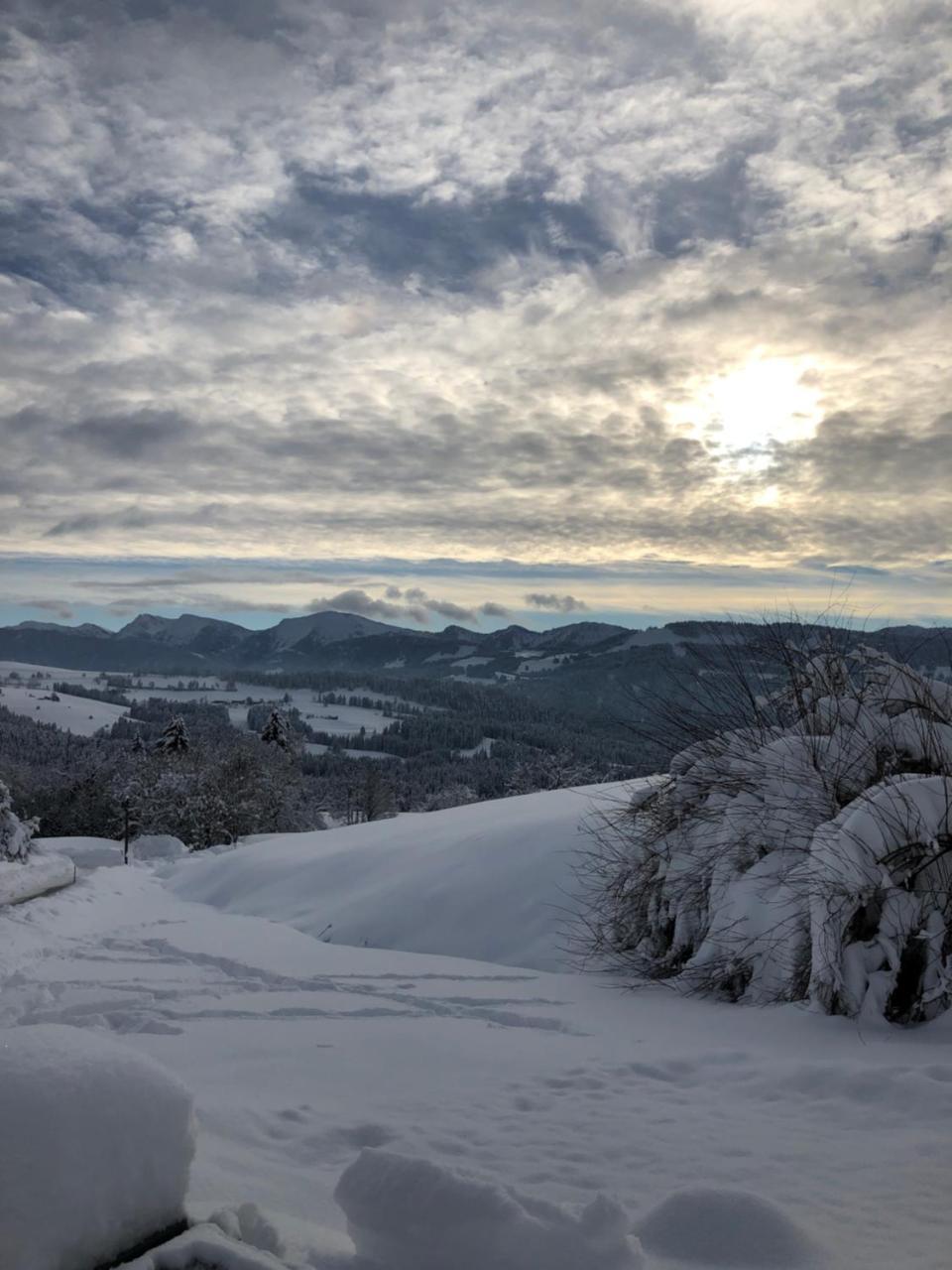 Allgau Landhotel Oberreute Bagian luar foto