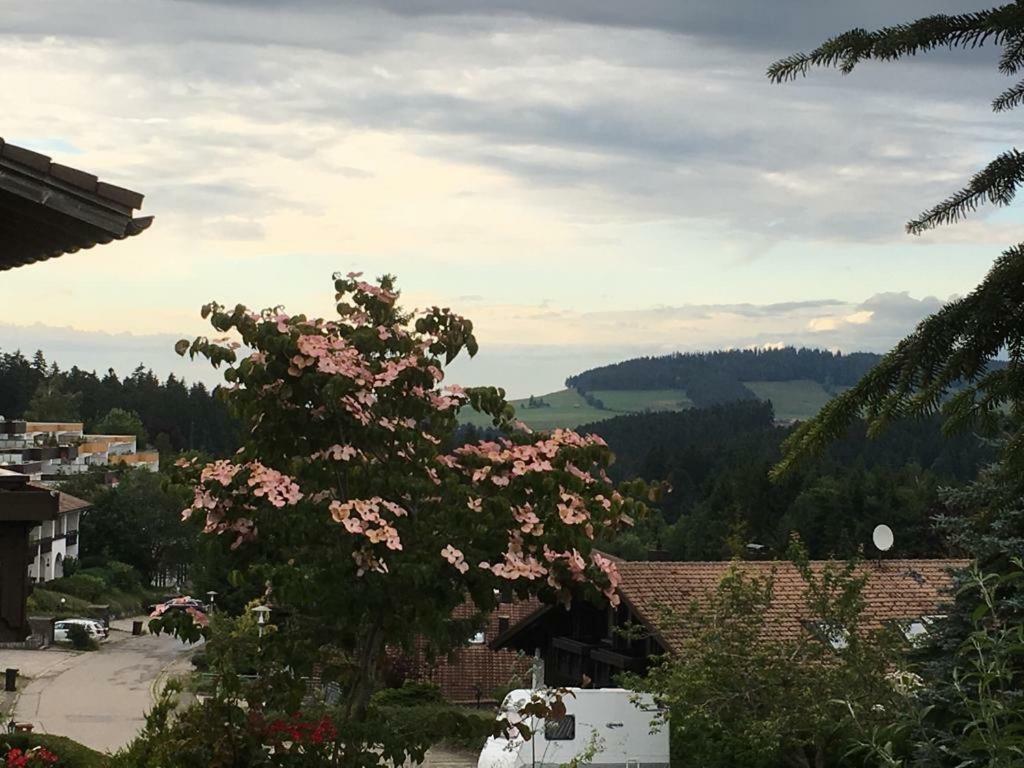 Allgau Landhotel Oberreute Bagian luar foto